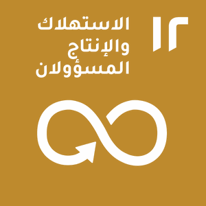هدف التنمية المستدامة 12 — الاستهلاك والإنتاج المسؤول
